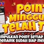 Yay Casino VIP Program: Unlock Exclusive Rewards and Premium Benefits